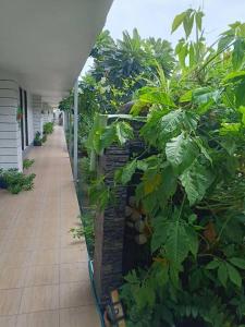 un bâtiment avec des plantes sur son côté dans l'établissement Pool Villa @Donmueang, à Bangkok