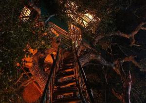 Gambar di galeri bagi Single Trees Yala di Palatupana