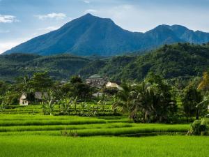 a green field with a mountain in the background at Amaris Hotel Padjajaran Bogor in Bogor