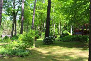 un parque con un banco, árboles y césped en Thüringer Waldbaude en Tambach-Dietharz