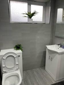 a bathroom with a toilet and a sink and a window at 3 bedroom detached house, close to Glasgow in Barrhead