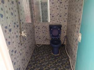 a bathroom with a purple toilet in a stall at Wisma Ibu Indri in Jakarta