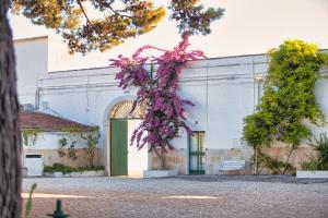Zahrada ubytování Villa Ceci Dimora di Storie