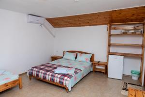 ヴァマ・ヴェケにあるCasa Tudor Vama Vecheのベッドルーム(ベッド1台、本棚付)