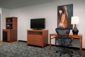 TV a/nebo společenská místnost v ubytování Hilton Garden Inn Fort Worth Medical Center