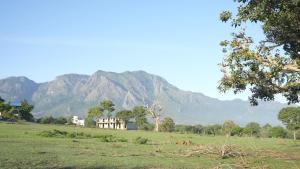 a house in a field with a mountain in the background at Wild Tusker Homestay Masinagudi by LexStays in Masinagudi