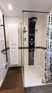 a glass shower with a guitar in a room at Haus Soltun-Was will man mehr! in Runde