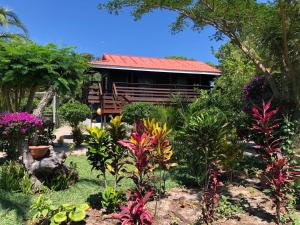 Taman di luar Mar de las Calmas