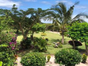 Taman di luar Mar de las Calmas