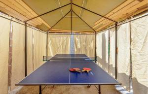 Tischtennis in der Unterkunft Nice Apartment In Ledenice With Wifi oder in der Nähe
