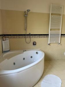 a bath tub in a bathroom with a shower at Giardini Normanni in Aversa +13 photos