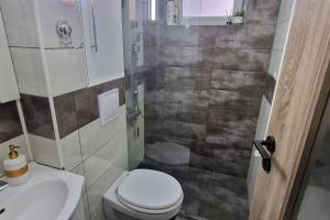 a bathroom with a shower and a toilet and a sink at Prestige Apartments Suceava in Suceava