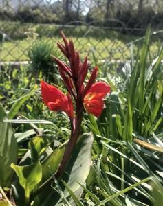 Galería fotográfica de Happy Days, Claremont en Ciudad del Cabo