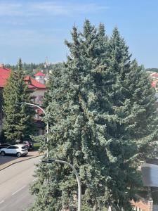 Fotografie z fotogalerie ubytování Hotel Villa Sofia v destinaci Truskavec