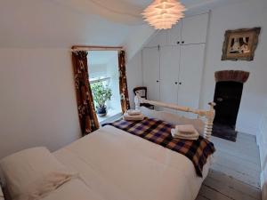 a bedroom with a bed and a mirror and a chandelier at Cosy Welsh Town Cottage in Brecon