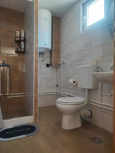 Koupelna v ubytování Apartman Andjeo + 15 fotografií