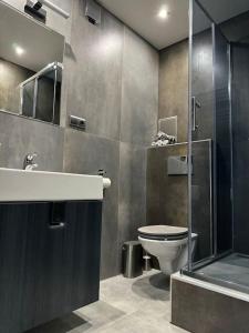 a bathroom with a toilet and a shower and a sink at Offspa privátní wellness in Prague