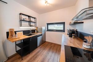 Kuchyň nebo kuchyňský kout v ubytování Rodinné apartmány LEVÝPRAVÝ ve Frymburku