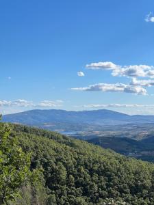 a view from the top of a mountain with trees at Casa de Pombares in Veigas