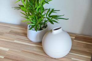 Foto dalla galleria di New! Japandi 3 1BR in Prime Location-1 min to STN a Hakata