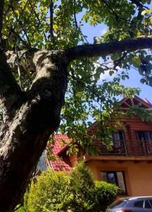 Fotografie z fotogalerie ubytování Vodoliy v destinaci Mykulyčyn + 64 fotografií