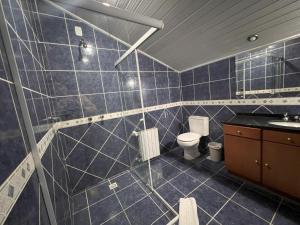 un bagno con doccia, WC e lavandino di Pousada Canela Garden a Canela Altre 63 foto