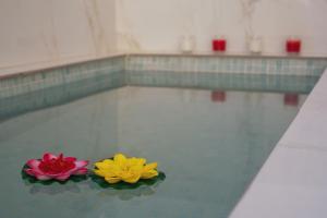 two flowers sitting on top of a swimming pool at Apartamento Urbano Granada in Granada