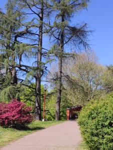 un chemin dans un parc planté d'arbres et de fleurs roses dans l'établissement Casa Vacanze Tigli, à Basiglio 4 autres photos