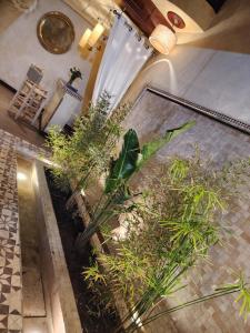 Fotografie z fotogalerie ubytování Riad Mumtaz Marrakech v Marrákéši