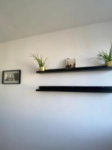 two black shelves on a white wall with two plants at Może nad morze in Gdańsk