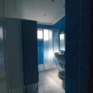 a blue bathroom with a toilet and a sink at Casa do Portão Azul - Dourada in Atouguia da Baleia +40 photos