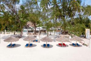 Fotografie z fotogalerie ubytování Seashore Beach hotel v destinaci Kiwengwa