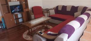 a living room with a couch and a tv at Apartmani Dević Šušanj in Bar
