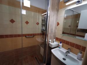 a bathroom with a shower and a sink and a mirror at Central Park Apartman in Szekszárd +23 photos