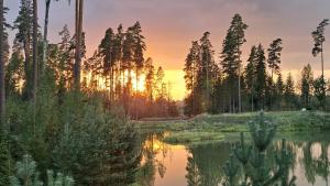 a sunset over a pond with trees in the background at Buddas Home in Amatciems