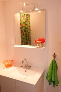 uma casa de banho com um lavatório e um espelho em Studio Apartment Centre Historique em Arles