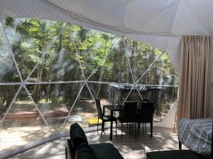 Zahrada ubytování Chamcook_B Dome