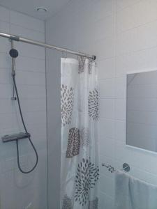 una ducha con cortina de ducha en un baño en Armas 2-toaline korter, en Tartu