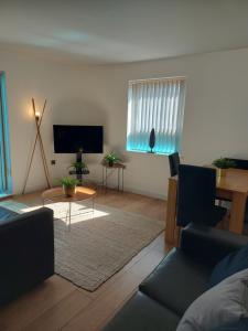 TV a/nebo společenská místnost v ubytování Spacious 2-bedroom apartment near Ponds Forge, Crucible Theatre and Sheffield Universities