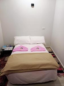 Φωτογραφία από το άλμπουμ του Nile Flower Guest House σε Al Aqālitah