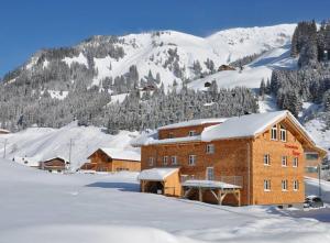 un bâtiment dans la neige avec une montagne en arrière-plan dans l'établissement Haus Rose, à Schröcken