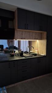 Kjøkken eller kjøkkenkrok på Apartman Little fox Divčibare