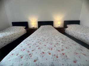 two twin beds in a room with two lamps at Noclegi Rybacka in Jarosław