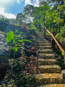 Aed väljaspool majutusasutust Hostal Paraíso Tayrona Kogui
