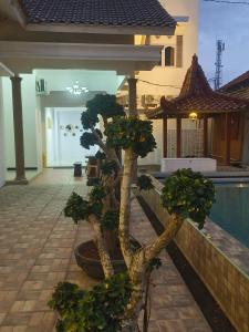 Bazén v ubytování D'Rey Hotel nebo v jeho okolí