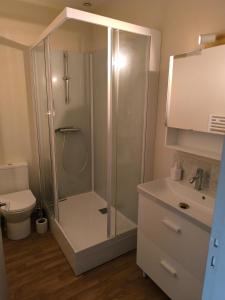 a bathroom with a shower and a toilet and a sink at Welcome Home Parking, terrasse in Châteauroux