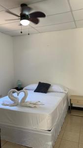 Billede fra billedgalleriet på Casa Bonita i Matagalpa