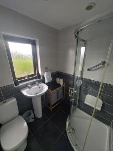 a bathroom with a toilet and a sink and a shower at Vine inn in Banbridge