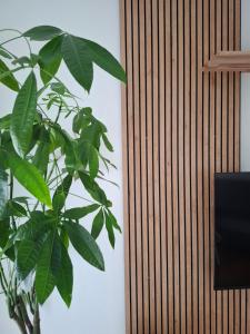Un televizor și/sau centru de divertisment la MAYA's HOME
