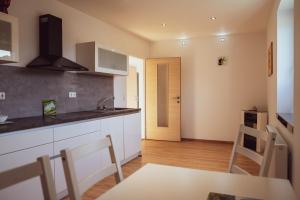 Kuhinja ili čajna kuhinja u objektu CLAUS RESCH APPARTEMENTS - E-Bike, Wandern, Minigolf, Familie, Urlaub an der Weinstraße